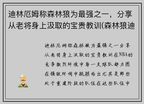 迪林厄姆称森林狼为最强之一，分享从老将身上汲取的宝贵教训(森林狼迪奥普)