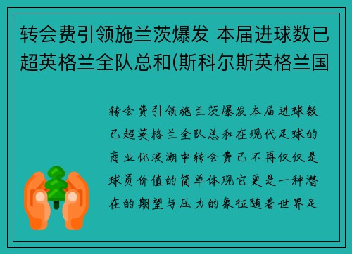 转会费引领施兰茨爆发 本届进球数已超英格兰全队总和(斯科尔斯英格兰国家队进球全记录)