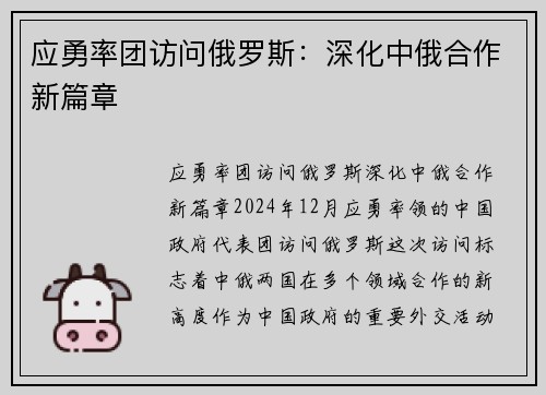 应勇率团访问俄罗斯：深化中俄合作新篇章